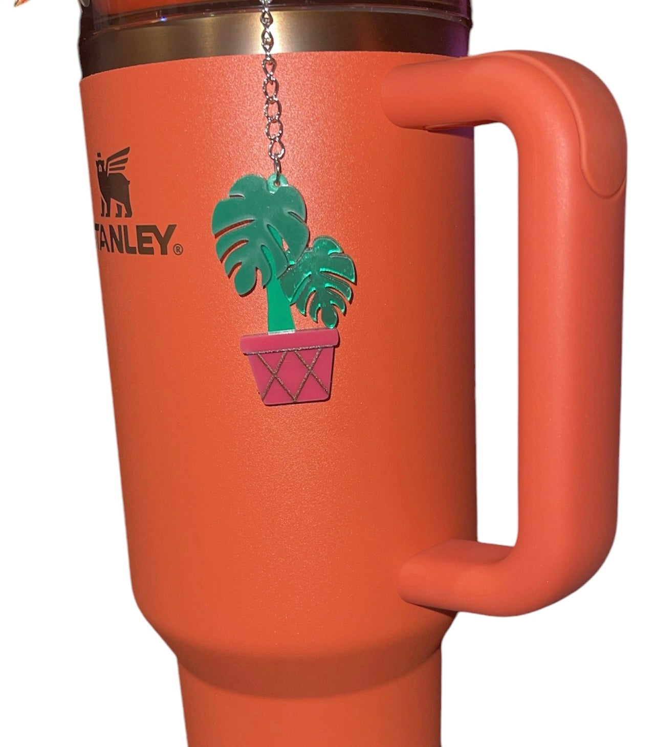 Monstera Straw Charm